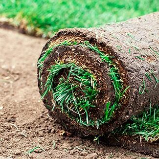 création de pelouse en Belgique avec Arbori-cime